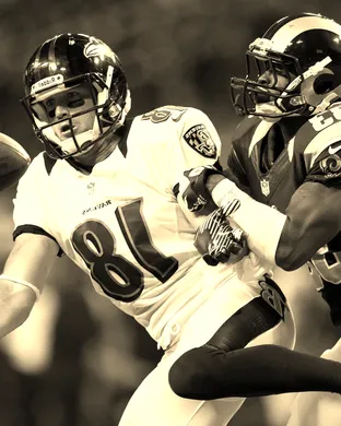 Baltimore Ravens Charlotte