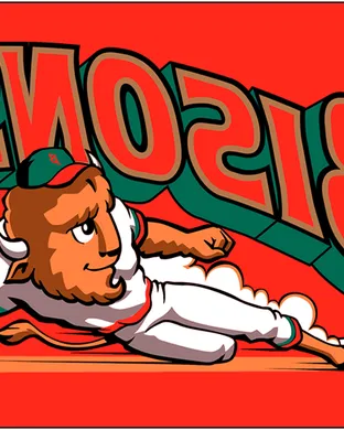 Buffalo Bisons Charlotte