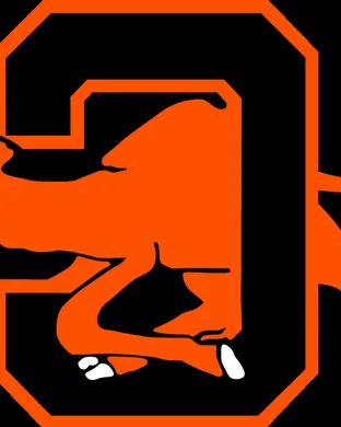 Campbell Fighting Camels Charlotte