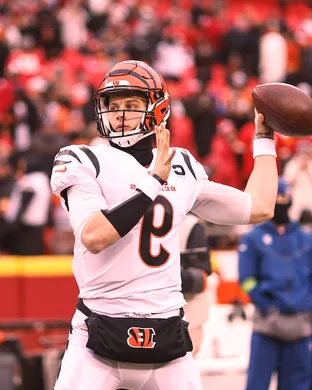 Cincinnati Bengals Charlotte