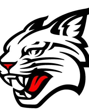 Davidson Wildcats Football Davidson