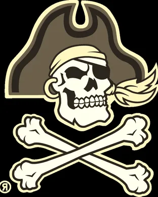 East Carolina Pirates Football Charlotte