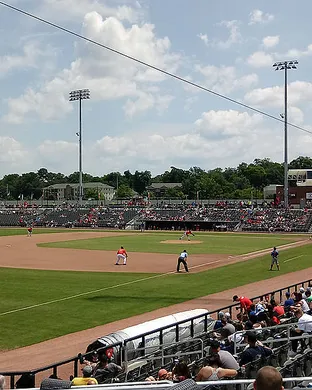 Fayetteville Woodpeckers Hickory