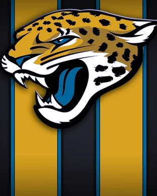 EverBank Stadium Jacksonville