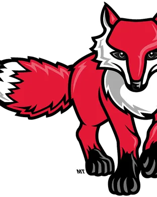 Marist Red Foxes Davidson