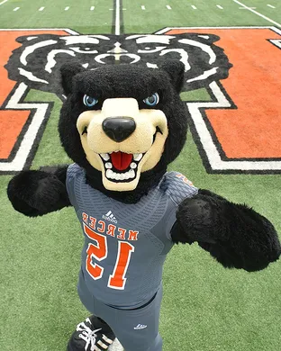 Mercer Bears Football Lexington