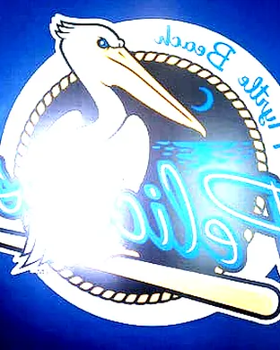 Myrtle Beach Pelicans Hickory